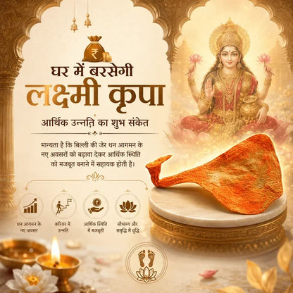 🕉️ सिद्ध काली बिल्ली की जेर | 100% असली व प्रमाणित 🕉️